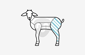 Pierna de Cabrito Lechal Pierna de Cabrito Lechal