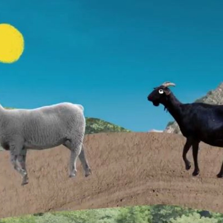Las ovejas Milagros, Remedios y Dolores y sus conocimientos sobre biodiversidad y protección Medio Ambiental Las ovejas Milagros, Remedios y Dolores y sus conocimientos sobre biodiversidad y protección Medio Ambiental