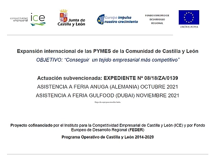 2021 - Expansión internacional de las PYMES de la Comunidad de Castilla y León 2021 - Expansión internacional de las PYMES de la Comunidad de Castilla y León