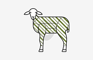 Lamb carcass Lamb carcass