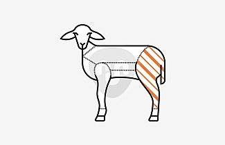 Milk fed Lamb leg Milk fed Lamb leg