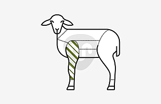 Lamb shoulder Lamb shoulder