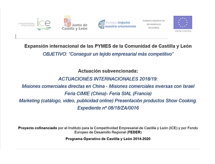 2019 - Expansión internacional de las PYMES de la Comunidad de Castilla y León 2019 - Expansión internacional de las PYMES de la Comunidad de Castilla y León