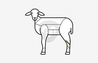 Lamb shank in bulk Lamb shank in bulk